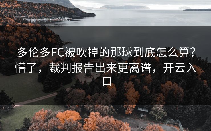 多伦多FC被吹掉的那球到底怎么算？懵了，裁判报告出来更离谱，开云入口