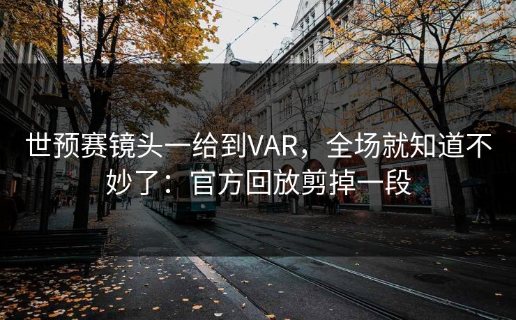 世预赛镜头一给到VAR，全场就知道不妙了：官方回放剪掉一段