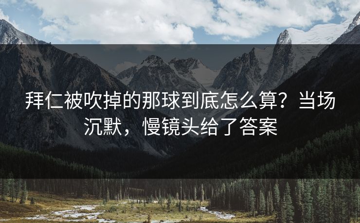 拜仁被吹掉的那球到底怎么算？当场沉默，慢镜头给了答案