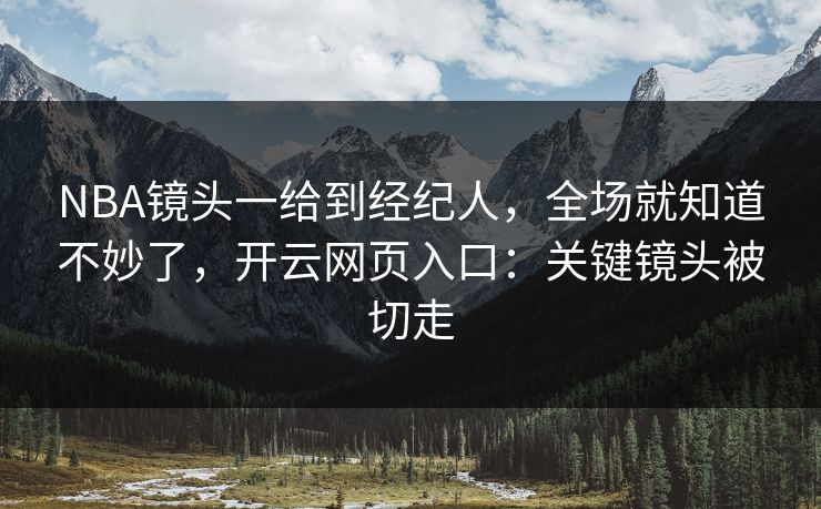 NBA镜头一给到经纪人，全场就知道不妙了，开云网页入口：关键镜头被切走
