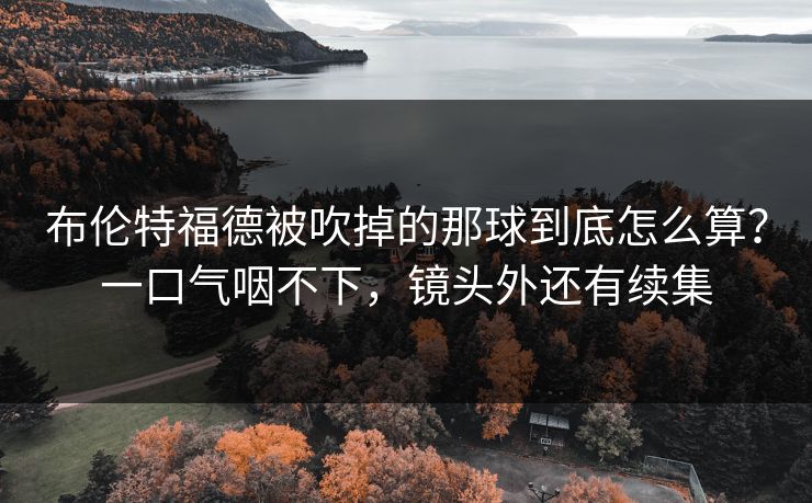 布伦特福德被吹掉的那球到底怎么算？一口气咽不下，镜头外还有续集